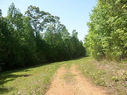 View looking towards the Triple C Rail Trail along the access trail in the James Ross Wildlife Reservation James Ross to Triple C.jpg