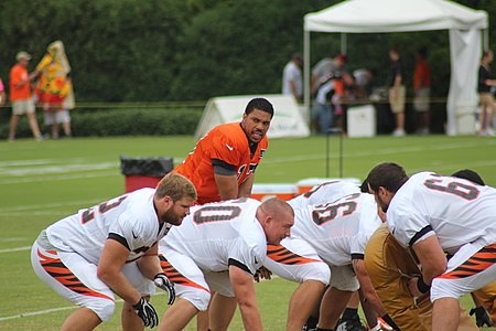 Campbell at Bengals training camp in 2014.