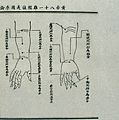 Jing, ying, shu, jing, he points; 15th century Chinese Wellcome L0034718.jpg