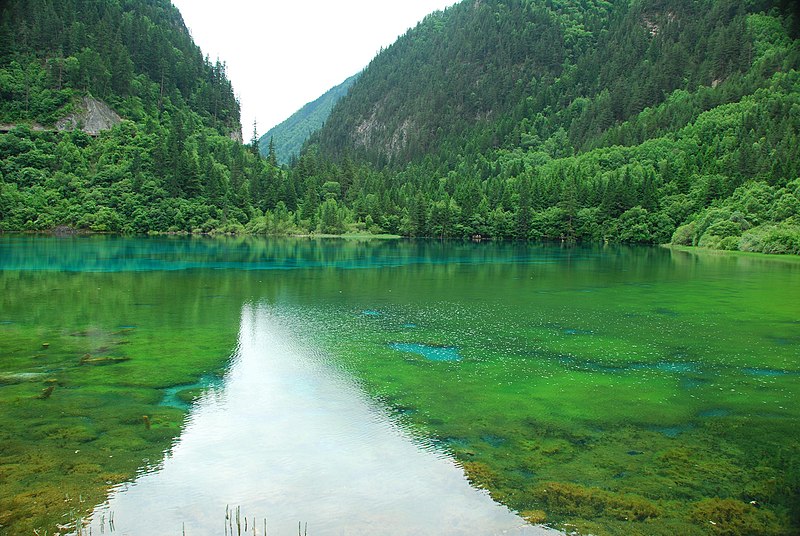 File:Jiuzhaigou, Aba, Sichuan, China - panoramio (54).jpg