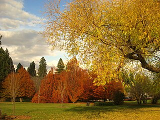 <span class="mw-page-title-main">John A. Finch Arboretum</span> Park in Spokane County, Washington, United States of America