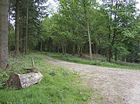 Kreuzung von Wegen in Witham Park - geograph.org.uk - 428792.jpg