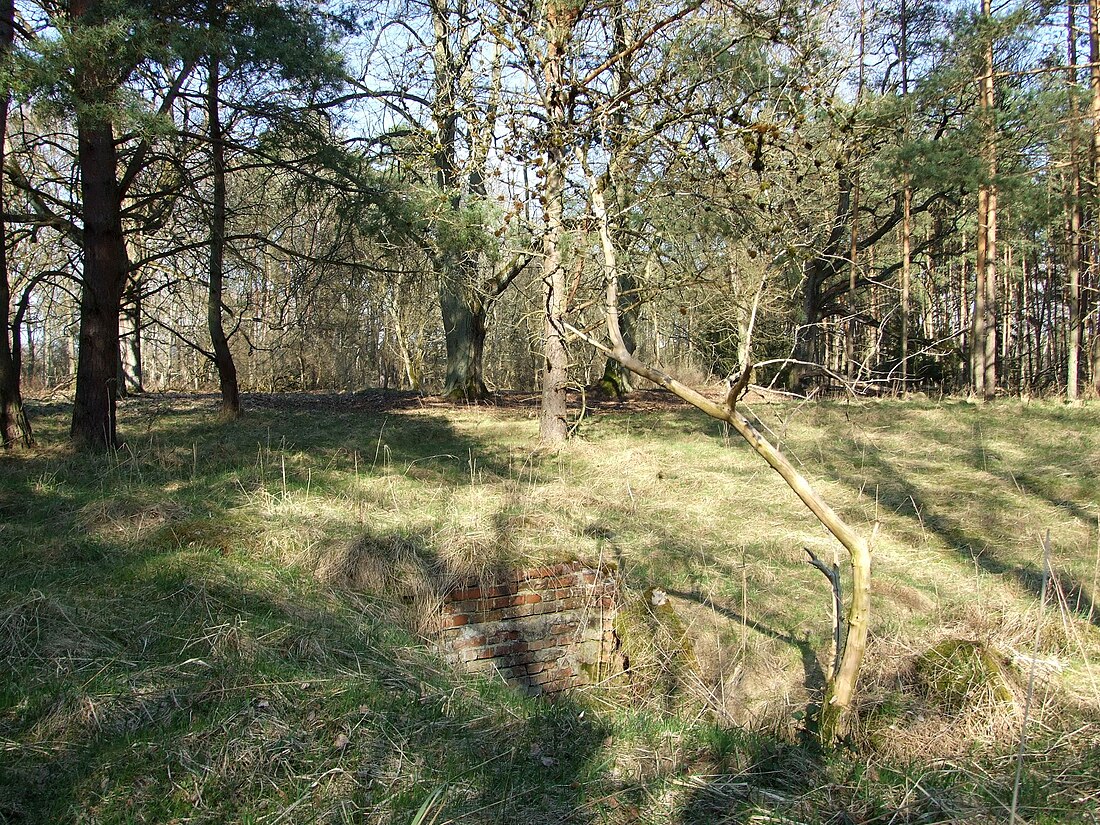 File:Jutroszewo (formerly Johannishof).jpg