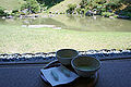 日本茶与一種魚形茶菓子