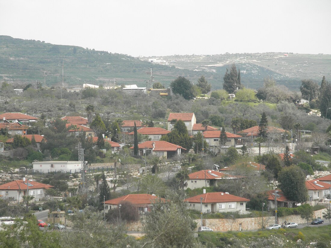 Kedumim