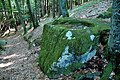 Opferstein im Keutschacher Waldgebiet