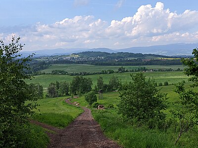 Vue depuis le mont Kozinec (608 m).