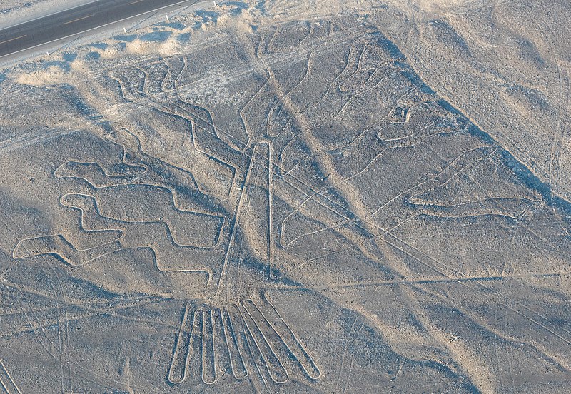 File:Líneas de Nazca, Nazca, Perú, 2015-07-29, DD 61.JPG