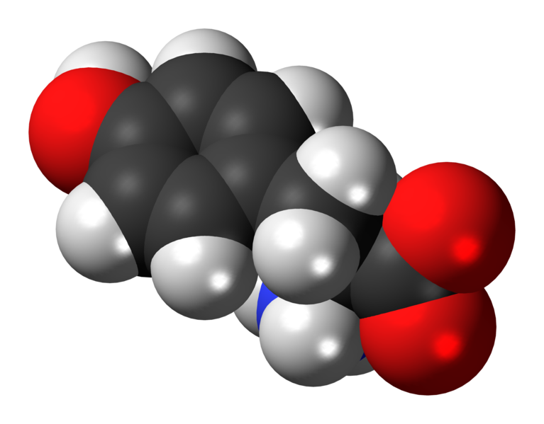 File:L-Tyrosine-zwitterion-3D-spacefill.png