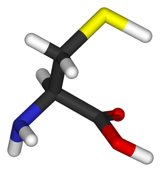 Fil:L-cysteine-3D-sticks.png