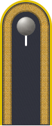 Rank badge on the epaulette of the jacket of the service suit for air force uniform wearers.