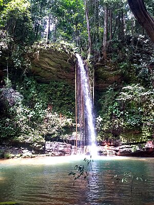 Taman Nasional Perbukitan Lambir