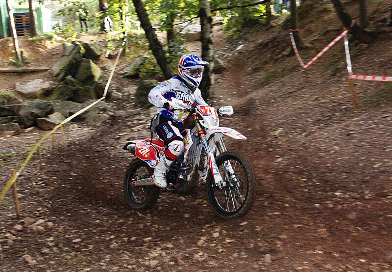 File:Liesel 24-09-2012 ISDE Saxony No.271 Rodrig Thain Trophy Team France.jpg