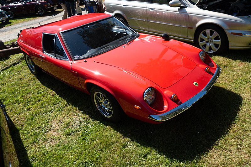 File:Lotus (45080239335).jpg