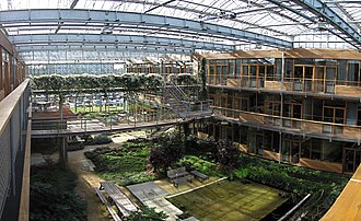 Panorama of the greenhouse of the Lumen building Lumen Building Greenhouse.jpg