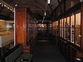 Macleay Museum Interior.jpg