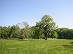 Park Makomanai