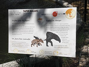 Malaja Tapiro