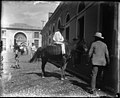 Man on horse, street (3795474173).jpg
