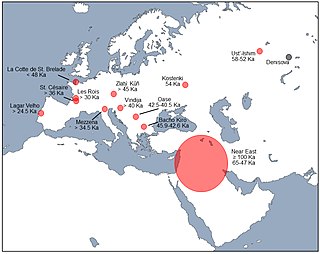 <span class="mw-page-title-main">Interbreeding between archaic and modern humans</span> Evidence of human hybridization during the Paleolithic