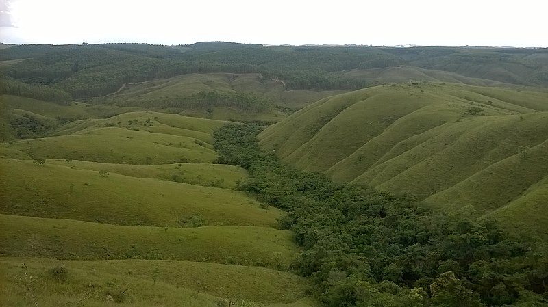 File:Mata que preserva uma nascente - panoramio.jpg