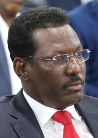 <span class="mw-page-title-main">Ahmed Abdi Karie</span> Governor of Galmudug