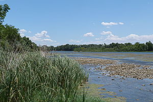 Reserva natural dirigida de los Sotos y Galachos del Ebro