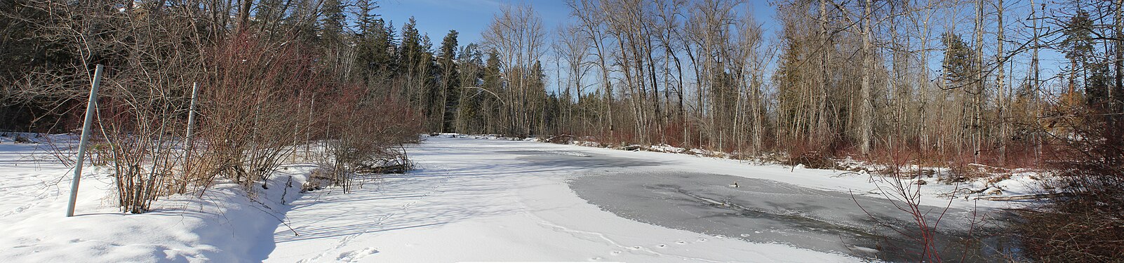 A frozen Pond in an uncommonly cold February