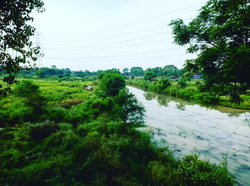 A view of Morva River in Moosilatpur village