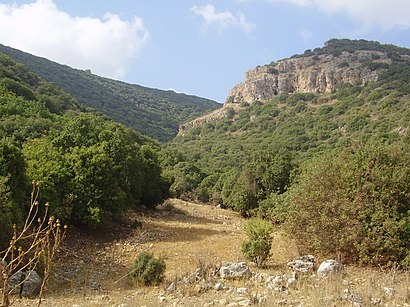 איך מגיעים באמצעות תחבורה ציבורית  לנחל מעפילים? - מידע על המקום