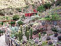 Museo Botánico Chirau Mita, en Chilecito