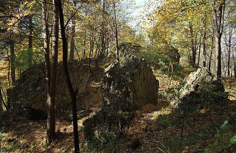 Ruiny Zamku w Myślenicach