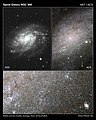 Photographie prise par le télescope spatial Hubble. En raison de sa relative proximité, des étoiles individuelles sont résolues sur cette image.
