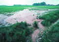 Fotografia d'una pollucion dau mitan naturau per d'engrais