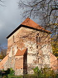 Miniatura per Castell de la península de Trakai