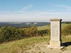 Schlacht Bei Jena Und Auerstedt: Vorgeschichte, Die gegnerischen Heere im Vergleich, Der Feldzug vom 8.10. bis 14.10.1806