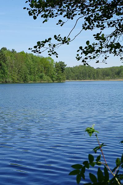 File:Nationalpark Müritz - Pagelsee (4).jpg