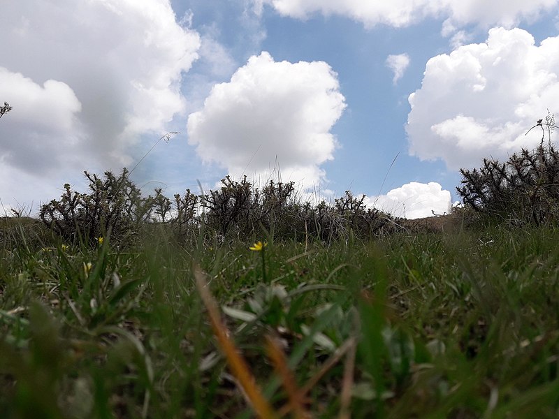 File:Nature in the Hatsik village, Armenia 7.jpg