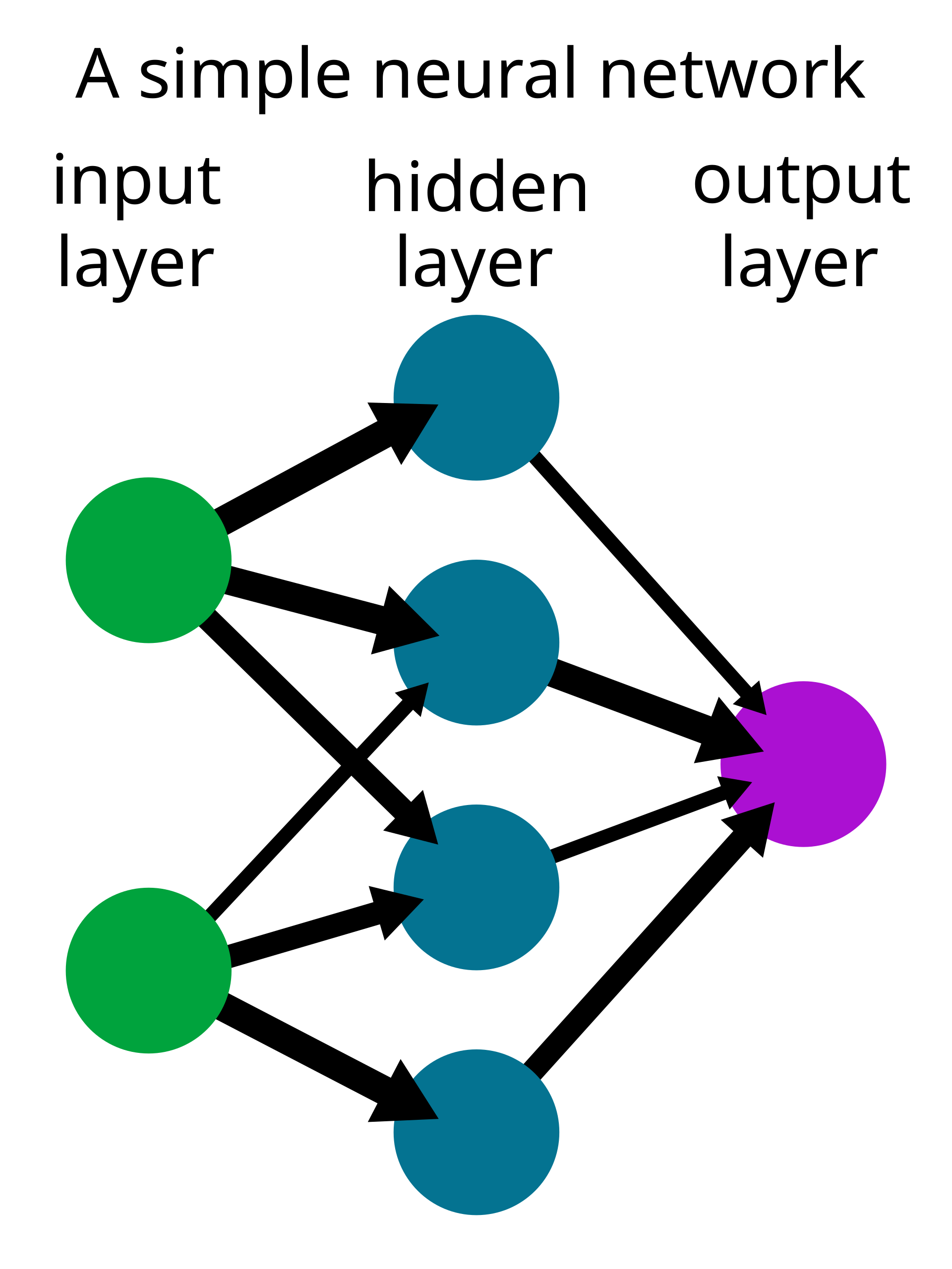 A neural network directed acyclic
graph.