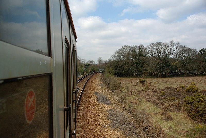 File:New Forest MMB 02 421497.jpg