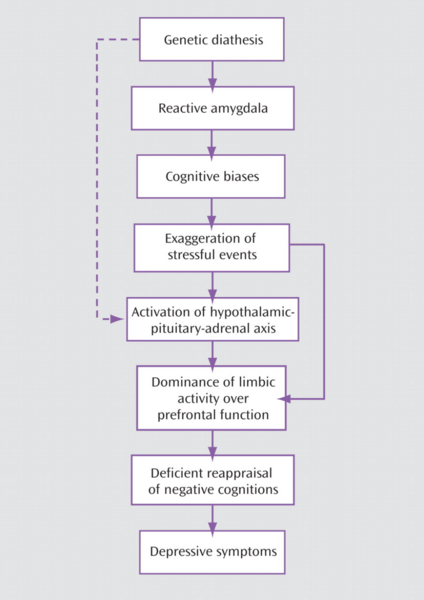 File:New cognitive model based on genetic diathesis.png