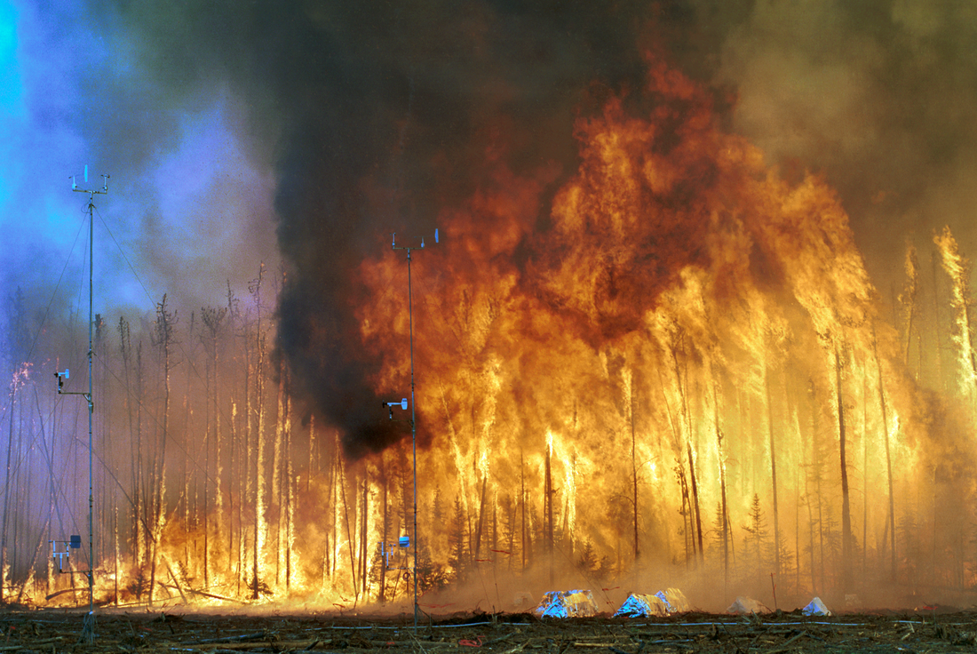 Incendies et cycle du carbone dans les forêts boréales