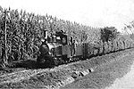 O&K-E-Kuppler 8724, Baujahr 1918 beim Einsatz bei der Zuckerfabrik 'San Martin del Tabacal' in San Martin, Argentinien, Betriebsnummer T914.jpg