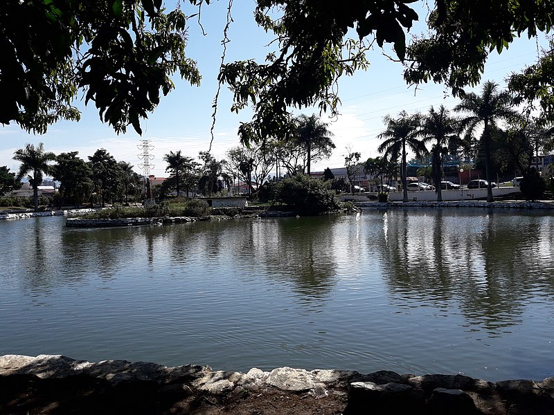 File:O lago do Horto Municipal Renato Corrêa Penna 1.jpg