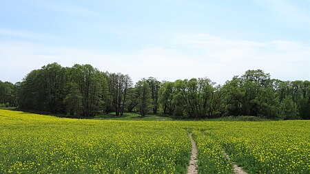 Ohetal bei Großropperhausen