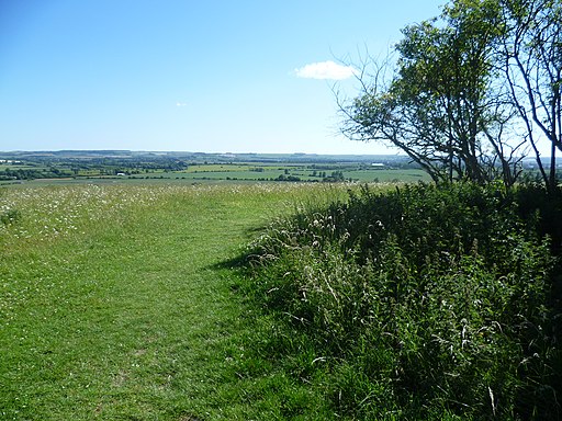 On Castle Hill - geograph.org.uk - 2481018