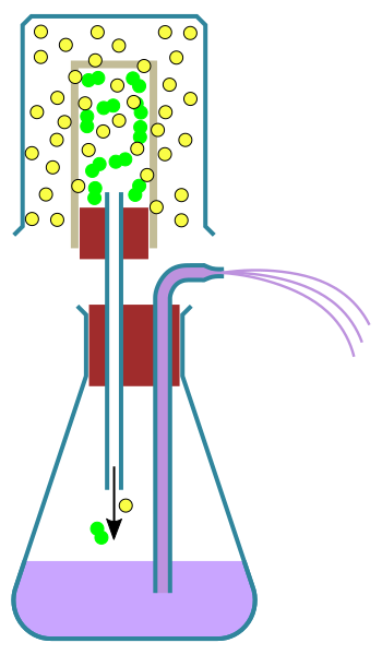 File:Osmose Gas.svg