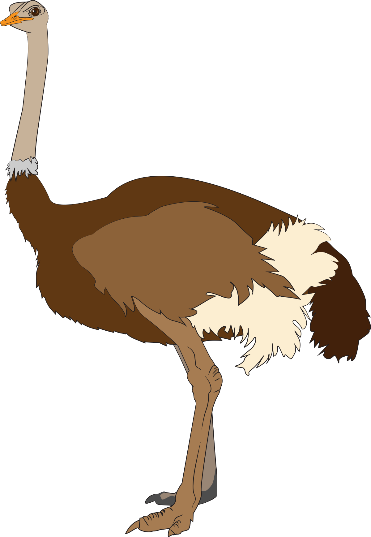 Download File:Ostrich.svg - Wikimedia Commons