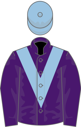 <span class="mw-page-title-main">Alcohol Free (horse)</span> Irish-bred Thoroughbred racehorse