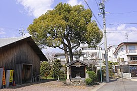 翠松園氏神　大山祇神社 （2021年（令和3年）3月）